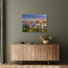 Kép - panoráma Rotterdam, Hollandia (üvegen) (70x50 cm)