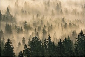 Flizelin tapéta falra Prémium erdei köd 104x70 ragasztó