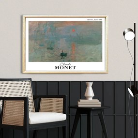 4262AHSMONET-008