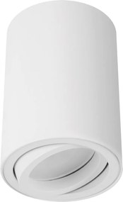 Mennyezeti lámpatest falra szerelhető kerek cső Bemol Dwl GU10 fehér