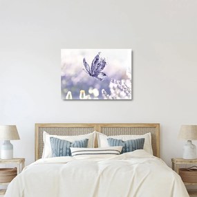 Üveg kép - Pillangó és levendula (70x50 cm)