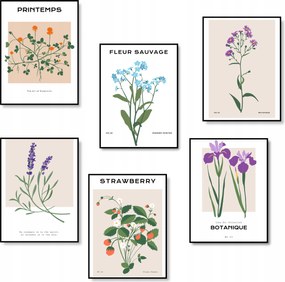 Poszter Szett Virágok Fali Dekoráció Poszter 6 db-os Szett *Sok minta*