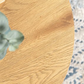 Dohányzóasztal Szett Aranytölgy Színben DELIA