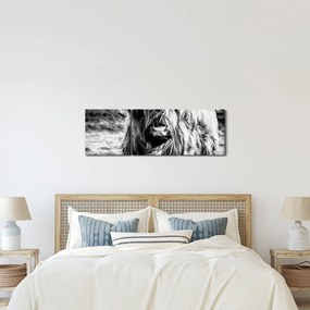 Kép - Highland - skót tehén (órával) (90x30 cm)