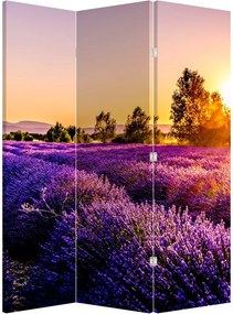 Paraván - Levandula mező (126x170 cm)