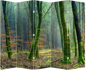 Paraván - Erdő (210x170 cm)