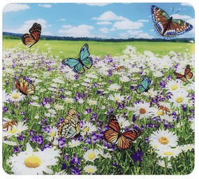 Edzett üveg falvédő tűzhelyhez 50x56 cm – Maximex