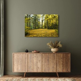 Kép - erdő ősszel (90x60 cm)
