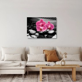 Üveg kép - Rózsaszín orchideák (70x50 cm)
