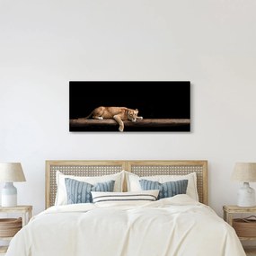 Kép - Lioness (120x50 cm)