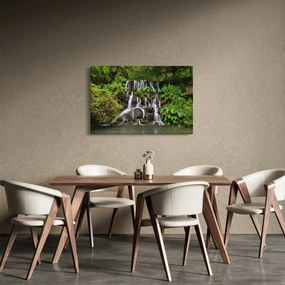 Egy kép a vízesésekről egy trópusi erdőben (90x60 cm)