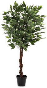 Dísznövény Ficus Műanyag Zöld 125x70x70cm