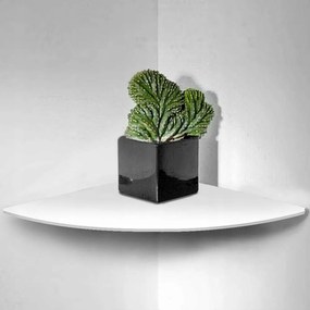 Regun sarok fali polc, 2 db-os szett, 5 x 5 x 5 cm, fehér