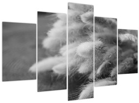 Kép - nyúlfarknyi fű az asztalon (150x105 cm)