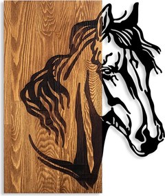 Horse 1