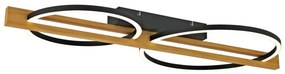 ITALUX PLF-55362-25W-WO NATANO Modern LED Mennyezeti Lámpa Fekete LED IP20