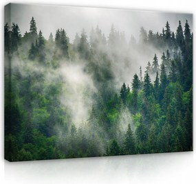 Vászonkép Erdő A Ködben Zöld Természet Vászon Fal Előszoba 60x40