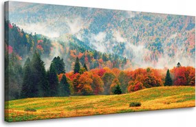 Vászonkép Hegy Erdők Rétek Felhők Természet 80x40 cm Ideális ajándék