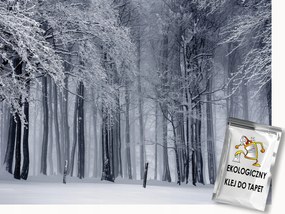 Fotótapéta Flizelina Természet Erdő Tél Fák Hó 400x280 ragasztó