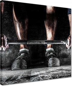 Vászonkép 30x30 Súlyzórúd