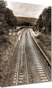 Vászonkép 70x100 Tóra szépia fotó