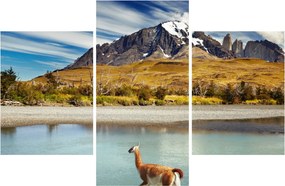Kép - Torres del Paine Nemzeti Park (90x60 cm)