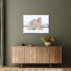 Kép - Jegesmedvék (üvegen) (70x50 cm)