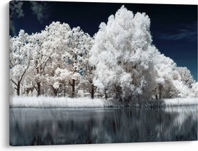 Kép - Hófehér fák (70x50 cm)
