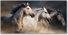 Fotótapéta üvegfalra Lovak a galoppban 140x70