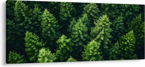 Kép - Forest (120x50 cm)