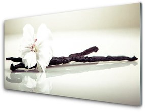 Akrilkép Természet virág növény 100x50 cm