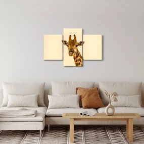 Egy zsiráf képe (90x60 cm)
