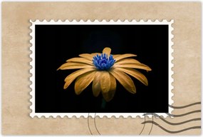 Poszter 60x40 Teavirág