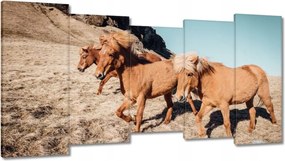 Vászonkép 150x80 Ló Lovak Lovaglás