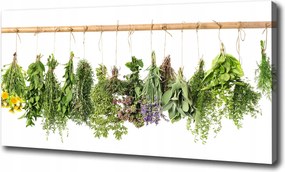 Vászonkép Gyógynövények zsinóron 100x70 cm