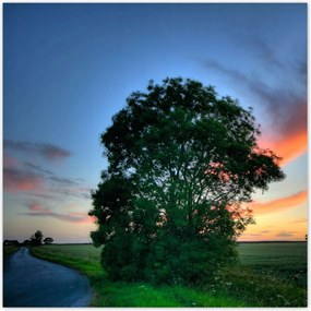 Poszterek 100x100 Lángoló égbolt