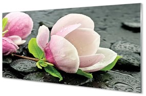 Üvegképek Magnolia kövek 100x50 cm 2 fogas