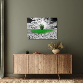 Kép - egy darab természet a városban (üvegen) (70x50 cm)