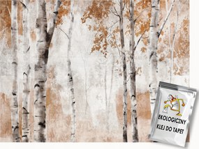 Fotótapéta Flizelina Akvarell Természet Ősz Erdő Nyírfák 250x175 ragasztó