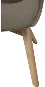 Világosbarna bársony fotel Niko – Ropez