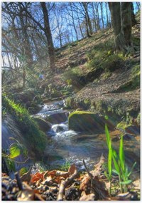 Poszterek 70x100 Napfelkelte