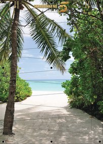 5 Pln-es Pénzperek XXL falikép 50x70 cm Tengerpart