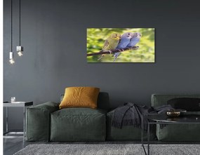 Akrilkép Színes papagáj egy ágon 100x50 cm