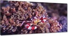 Vászonkép 180x90 Kék tengeri világ