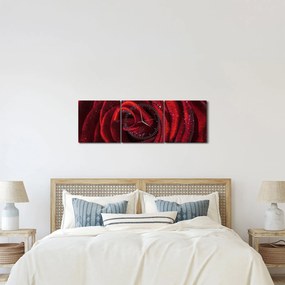 Kép - Vörös rózsa harmatcseppekkel (órával) (90x30 cm)