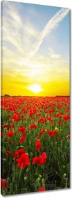 Vászonkép 40x100 Pipacsmező nyugattal