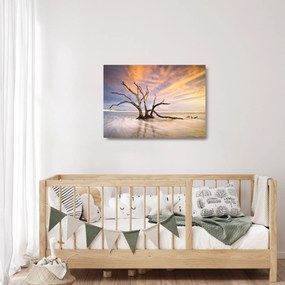 Egy fa képe az óceánban (üvegen) (70x50 cm)