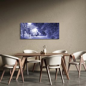 Kép - varázslatos téli éjszaka (120x50 cm)