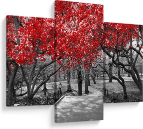 Kép - vörös fák,Central Park, New York (90x60 cm)