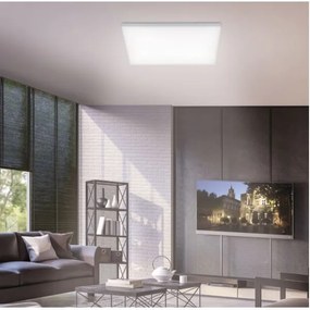 Paul Neuhaus 8492-16 - LED Dimmelhető panel FRAMELESS LED/35W/230V + távirányító
